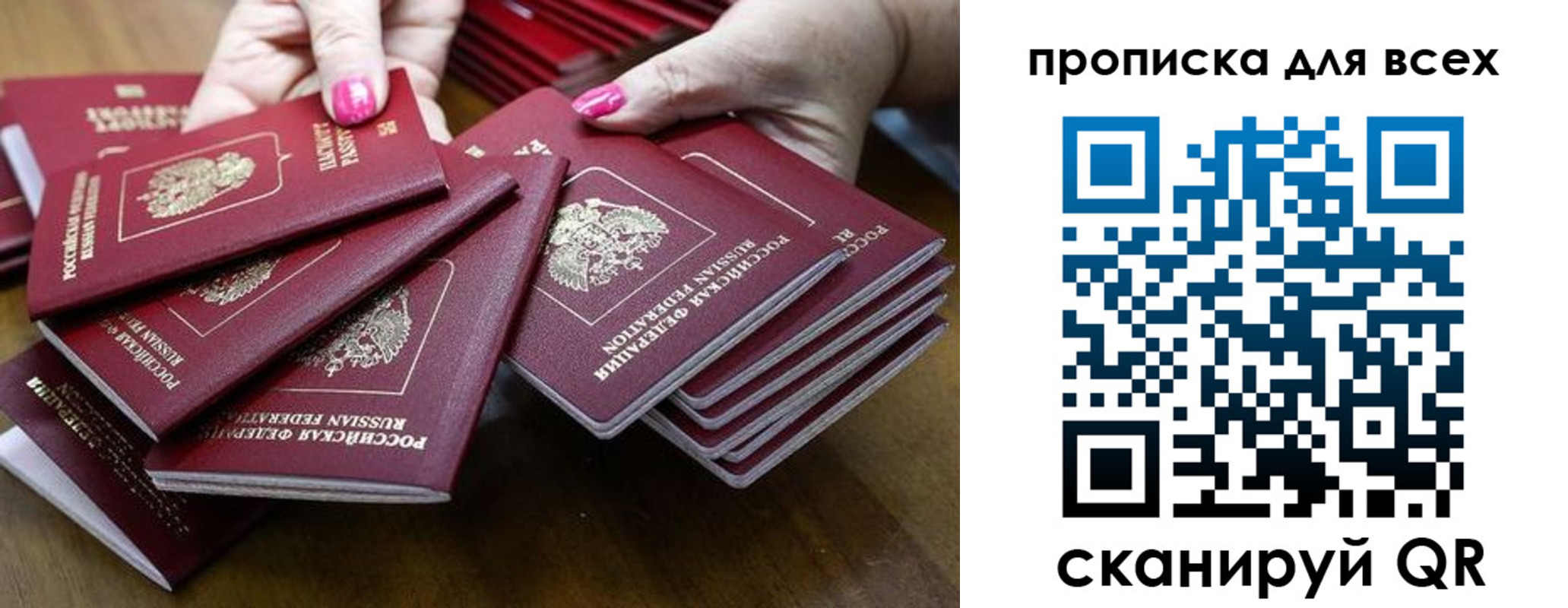 прописка гарантия в Куртамыше
